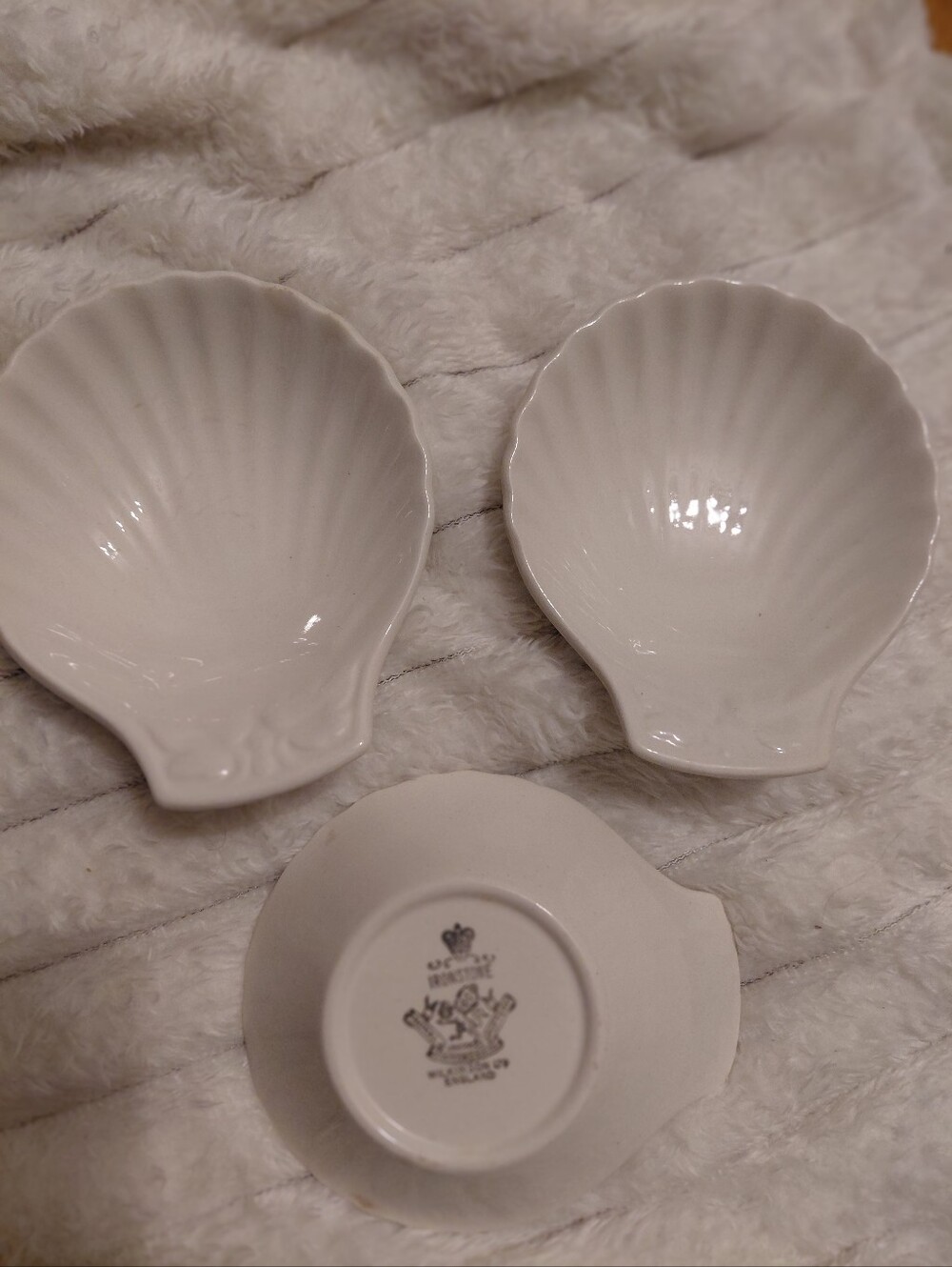 clamshell coastal trinket bowls